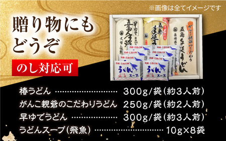 【コシのある細麺？！】あごだしで！五島うどん 食べ比べ 手延べ ギフト お中元 お歳暮 詰め合わせ 和食 郷土 料理 うどん 五島市 / 中本製麺 [PCR005] 