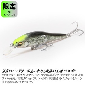 Ｘ-80 JR.SW 限定カラー CH ヒラスズキ 釣り用ルアー_OS226-0036