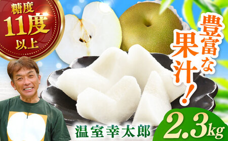 【2026年発送分 先行予約】【化粧箱入り】温室幸太郎（幸水）5-6個入（約2.3kg） / 佐賀県 / 大川三世代 [41AEAB013]