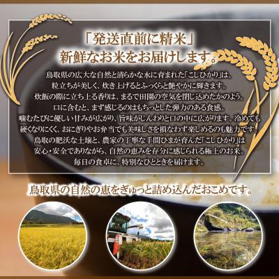 ふるさと納税 伯耆町 令和7年 鳥取県産　山崎農園こしひかり10kg |  | 01