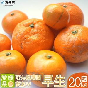 でん助農園の温州みかん（早生）　訳あり　20kg