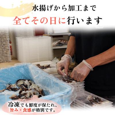 ふるさと納税 南知多町 純国産【見た目訳あり】 トリ貝 刺身 (特大9枚入り) 2セット 貝専門店 岬だより |  | 03