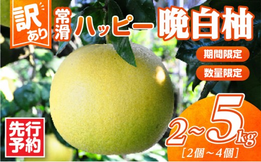 
                  【先行予約】【訳あり】常滑ハッピー晩白柚 【選べる容量】2kg～5kg｜果物 フルーツ 柑橘 ばんぺいゆ バンペイユ 大きい みかん 訳あり ご家庭用 数量限定 愛知県 常滑市 知多半島
                