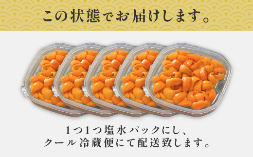北海道 登別近海産　無添加　極上エゾバフンウニ塩水パック500g ※2025年6月よりお届け [mh-0261]