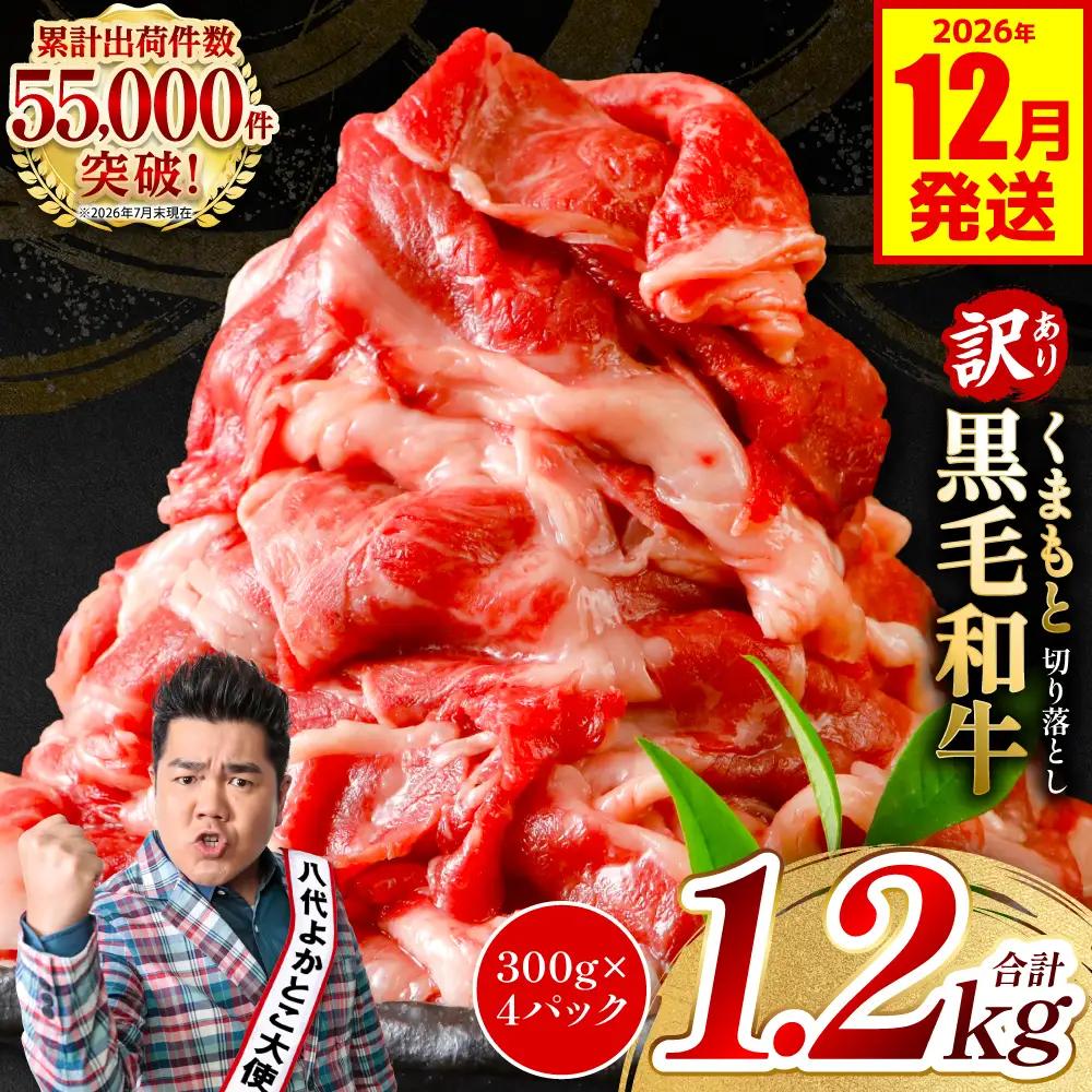 【訳あり】 牛肉 くまもと黒毛和牛 切り落とし 1.2kg（ 300g × 4 ） 【2026年12月発送】 牛肉