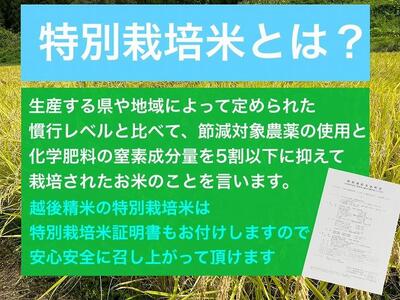 【12か月定期便】】新潟県旧中郷村減農薬特別栽培米コシヒカリ 5kg（5kg×1袋）