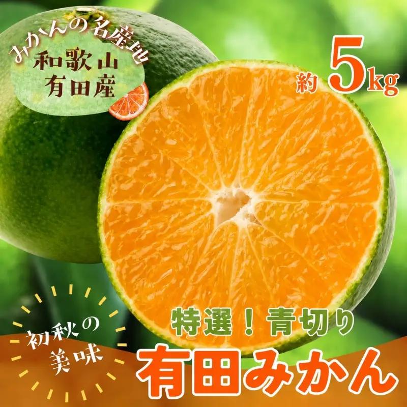 【先行予約】【2026年9月中旬～10月上旬頃に順次発送予定】【初秋の美味】【農家直送】特選!青切り有田みかん　5kg+200g(傷み補償分)　【ard044D】