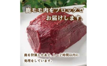 愛南ジビエ の 鹿 モモ 肉 800g （ 200g × 4パック ） シカ 冷凍 真空 パック 国産 天然 鹿肉 精肉 ジビエ肉 カルシウム 低カロリー 低脂肪 高たんぱく ヘルシー コラーゲン 赤
