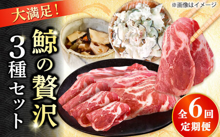 【6回定期便】　厳選！3種鯨定期便/ 煮しめ鯨120g×5パック 炙り用脂筋肉スライス（生）：400ｇ（200g×2パック）特上ゆかけ鯨（畝）：100g×3パック 小値賀町 /中島（鯨）商店[DBM019]