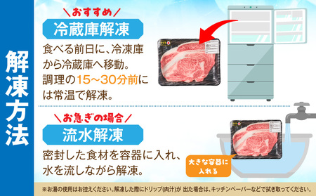 牛肉 ステーキ 牛肉[宮崎牛 サーロイン 600g]