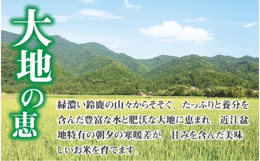 【先行予約】【令和8年産新米早期予約　毎月定期配送・計3回】 BG無洗米みずかがみ5kg×3回 [F-00406] / 滋賀県産 多賀町 みずかがみ 米 お米 こめ コメ 白米 ご飯 精米 5kg 袋