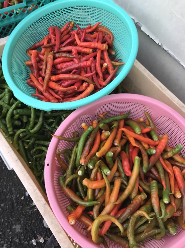 【富士山麓んめぇ～もん倶楽部オリジナル辛味調味料】ふきのとうなんばん 3個セット （蕗の薹 青唐辛子塩漬け）