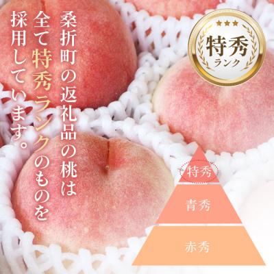 ふるさと納税 桑折町 もも【川中島白桃・2026年産先行受付】特秀　3kg　桑折町産　JAふくしま未来　桃 |  | 03