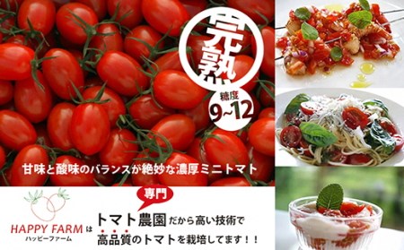 【先行受付開始】ハッピートマト1kg