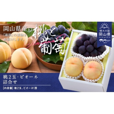 【2026年発送】桃・ピオーネ詰合せ(白桃晩生種2玉・ニューピオーネ1房)合計約1.0kg【配送不可地域：離島】【1493196】