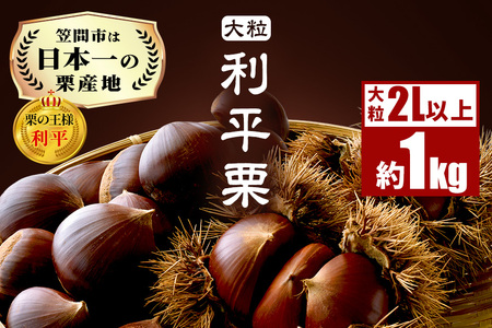 生栗 1kg 利平 栗 くり 国産  2L サイズ 以上 大きい 大粒 取り寄せ 笠間 茨城 和栗 甘栗 低温熟成 ギフト プレゼント 秋 旬 おやつ スイーツ 果物 フルーツ 焼き栗 栗ご飯 栗きんとん 栗おこわ 冷蔵 栗生産量 日本一 いばらき AH-012