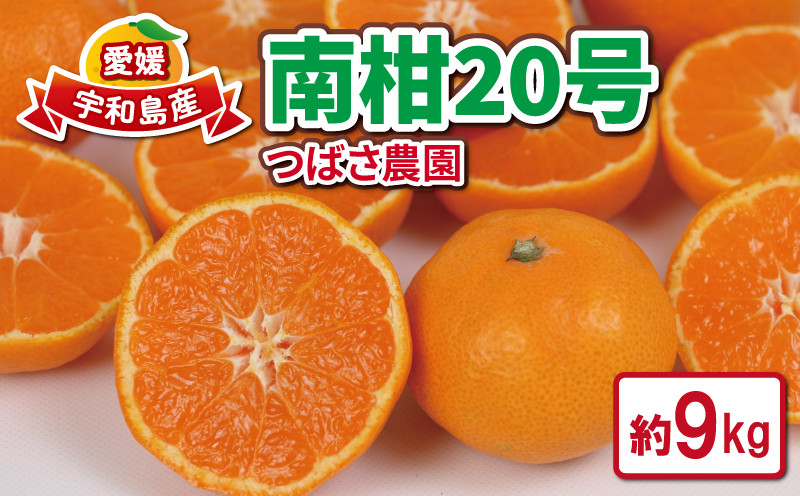 
                  みかん 先行予約 9kg 南柑20号 つばさ農園 家庭用 ミカン 温州みかん 甘い 美味しい 温州 蜜柑 mikan 果物 くだもの フルーツ デザート うんしゅう 愛媛ミカン 1万円 10000円 愛媛蜜柑 愛媛県産 柑橘 産直 お取り寄せ 農家直送 産地直送 数量限定 国産 愛媛 宇和島 B010-048011
                
