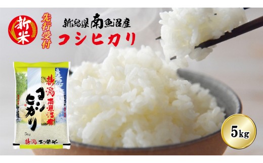 【令和8年産新米先行予約】南魚沼産コシヒカリ5kg【2026年10月下旬より1ヶ月以内に順次発送予定】