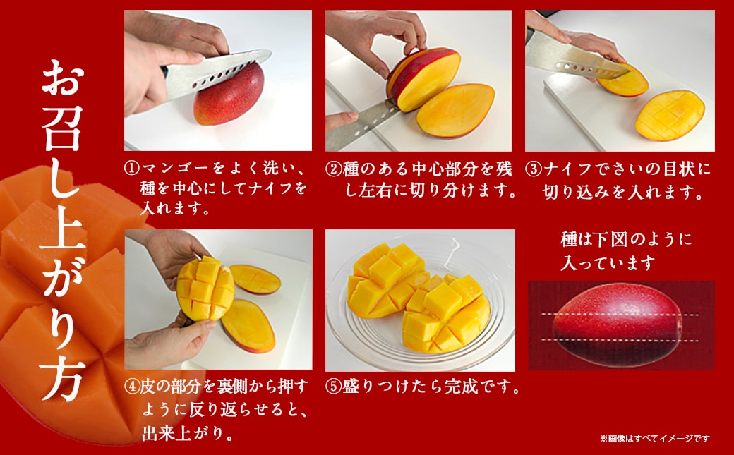 【先行受付!】宮崎県産完熟マンゴー(B品)【2L×1玉、3L×1玉】≪2027年5月中旬以降順次お届け≫〔21-0101〕_(都城市)
