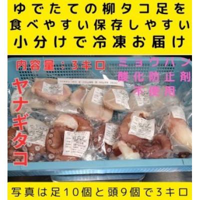 ふるさと納税 白老町 浜ゆでたこ 計3000g 北海道白老町産