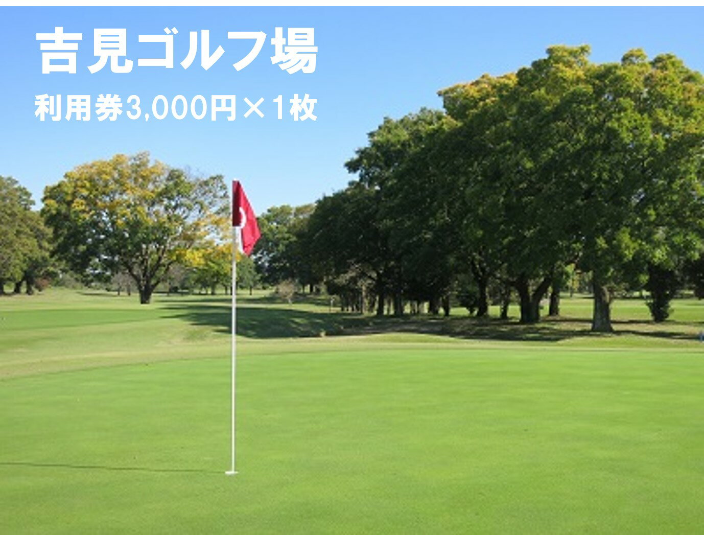 【ふるさと納税】吉見ゴルフ場 ご利用券 3,000円分×1枚 ゴルフ 3000円分 割引 プレー割引券 利用券 チケット クーポン スポーツ