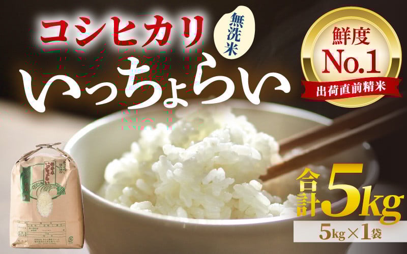 
            【先行予約】【令和7年産・新米】【一等米】いっちょらい 無洗米 5kg ／ 福井県産 ブランド米 コシヒカリ ご飯 白米 新鮮 大賞 受賞 【2025年9月下旬より順次発送予定】 [aw012-a017]
          