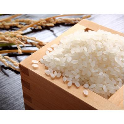ふるさと納税 新庄市 令和7年産　漢方栽培　十四代目のササニシキ　5kg
