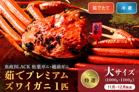 カニ ボイルガニ ／【蟹の匠 魚政】茹で　プレミアムズワイガニ 魚政BLACK（松葉ガニ・越前ガニ）特撰 大サイズ（1000～1100g） 1匹(11月～12月発送) カニ 蟹 ズワイガニ ズワイ蟹 ブランド蟹 松葉蟹 松葉ガニ 茹で松葉ガニ ボイル松葉ガニ タグ付き 越前蟹 越前ガニ カニ味噌 蟹味噌