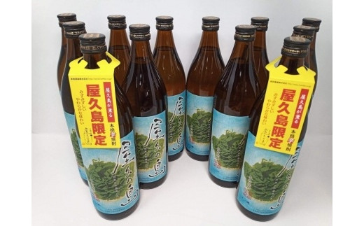 屋久島本格焼酎　屋久の島900ml 12本セット