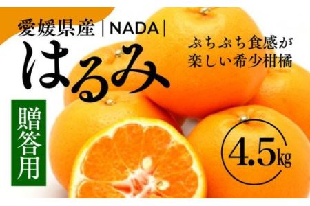 【農家直送】愛媛県産 はるみ 贈答用 4.5kg みかん 柑橘 ギフト ※2025年1月中旬～2月上旬頃に順次発送予定