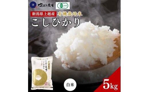 
                  令和7年産 新潟県上越産 有機栽培米 コシヒカリ 5kg 5キロ 精米 JAS有機栽培 こしひかり おおた農場 上越市
                