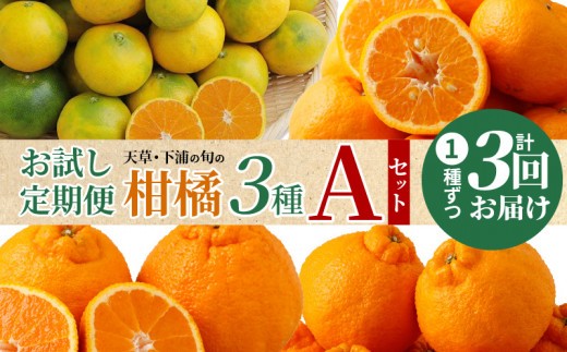 
                  S040-T08_【お試し定期便】天草・下浦の旬の柑橘3種Aセット
                