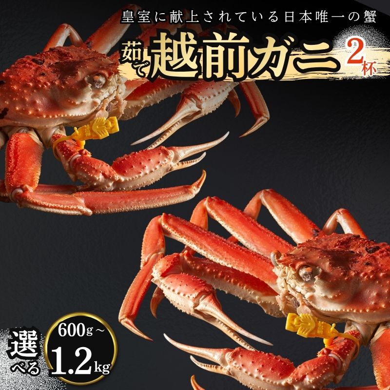 【ふるさと納税】かに 期間限定 茹で 越前がに 2杯(選べる600g～1.2kg)ずわい蟹 ボイルカニ ボイル 魚介類　お届け：2026年11月10日～2027年3月31日（年末年始を除く）