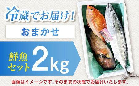 【五島列島・直送】朝獲れ！鮮魚セット2kg 鯛福丸水産/五島市 [PDP008]  鮮魚 セット 冷蔵 魚 海鮮 直送 さかな 詰合せ