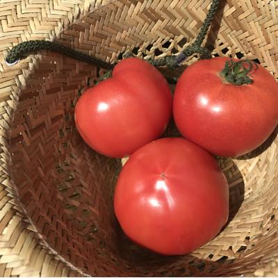 ふるさと納税 行方市 【身体が喜ぶ野菜】　玄米2kgと季節の野菜(おまかせ4〜5品) |  | 03