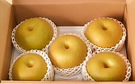 【2025年分先行予約】【100年続く梨農家直送】【化粧箱入り】温室幸太郎（幸水）5-6個入（約2.3kg）/ 梨 伊万里梨 なし / 佐賀県 / 大川三世代[41AEAB013]