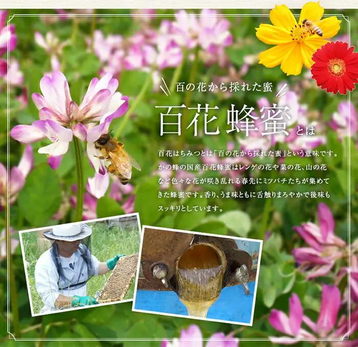【全3回】 定期便 かの蜂 国産 百花蜂蜜 合計3kg（とんがり容器1kgを毎月1本お届け） 純粋はちみつ 024-T002