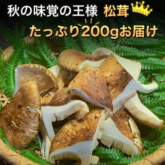 京都府産 黒毛和牛 と 松茸 すき焼き セット《牛肉 500g 松茸 200g》特製割下付き ※9月中旬頃より順次発送 ※発送不可地域あり