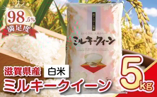 
            新米 令和7年産 ミルキークイーン 5kg 【T029W2】 米 5kg 白米 みるきーくいーん 国産 農家直送 環境こだわり お米 こめ おこめ 新米 先行予約 農家直送 産地直送 滋賀県 近江八幡市
          