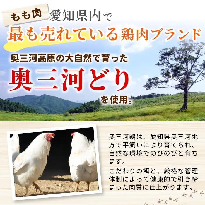 奥三河どり使用！ 田口塩鶏 国産 若鶏味付け肉 2種セット（せせり・もも肉）合計900g もも肉 500g せせり 400g 塩ダレ 味付け肉 鶏肉 鶏 肉 キャンプ バーベキュー 味付け肉 大容量 