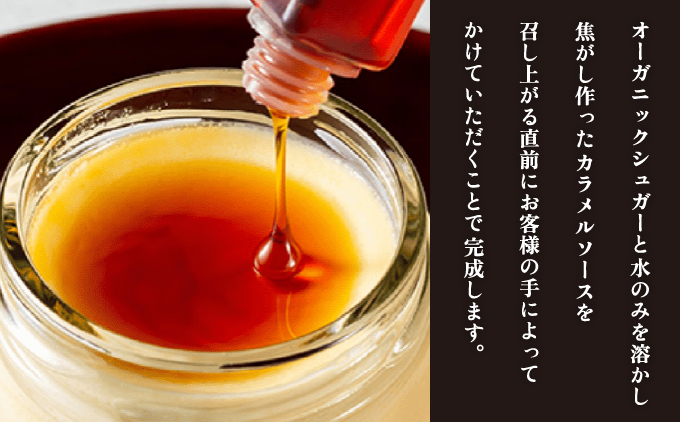 芦屋ぷりん カスタード 6個入[018-a002]