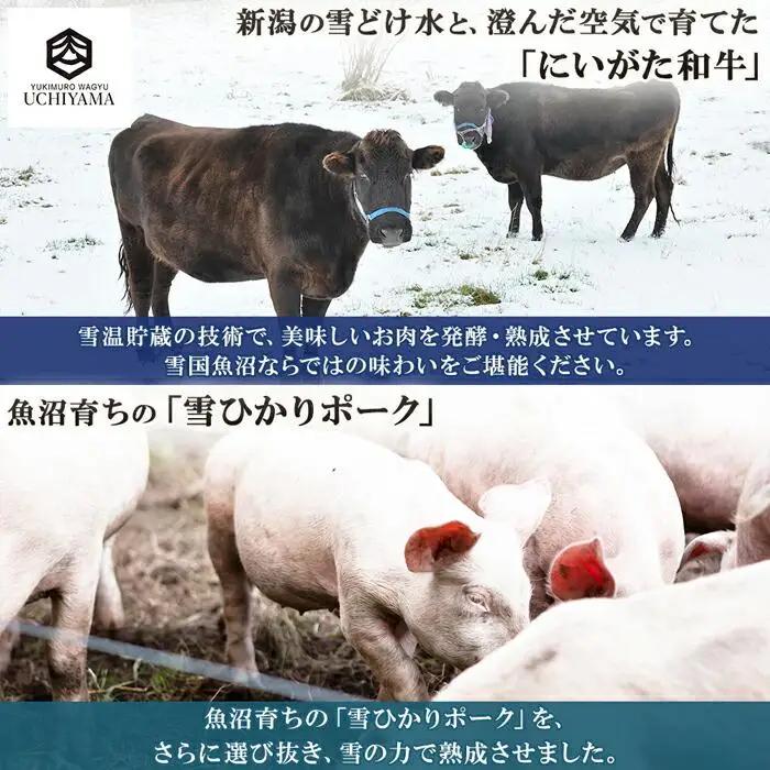 ハンバーグ 150g 4個 計600g にいがた和牛 黒毛和牛 雪ひかりポーク 合挽 国産 牛肉 豚肉 新潟県 南魚沼市 冷凍 YUKIMURO WAGYU UCHIYAMA 内山肉店｜チルド