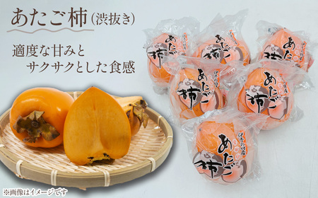 【先行予約】 西条市産の秋を味わう　柿づくしセット　2024年12月発送　あたご柿 よこの柿 あんぽ柿