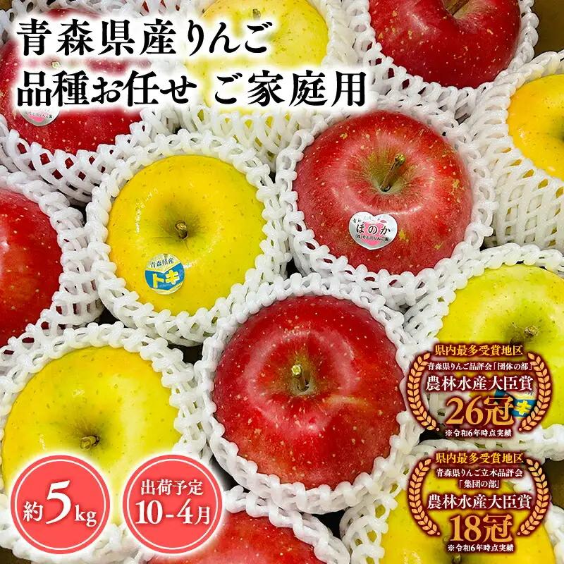 りんご 家庭用 旬のりんご詰め合せ5㎏ りんご