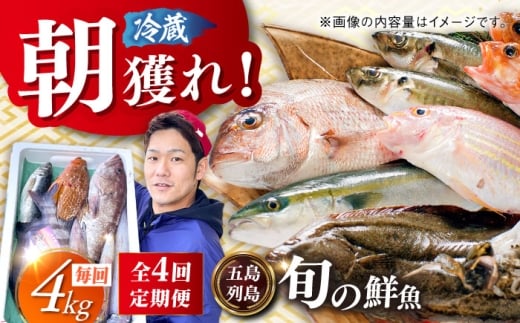 【全4回定期便】【五島列島直送】朝獲れ鮮魚セット4kg 五島市/鯛福丸水産[PDP014]  魚 鮮魚 セット 海鮮 直送 さかな 詰合せ 冷蔵