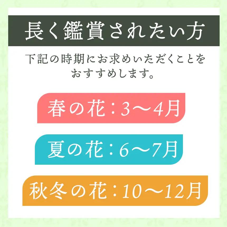 季節 の 寄せ植え ( 内容 おまかせ ) | 花  ガーデニング 英国流 フラワーポット
