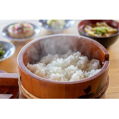 ふるさと納税 十日町市 【毎月定期便】魚沼産新之助5kg全6回 |  | 01