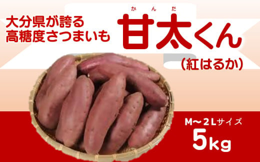 
【先行予約】【期間限定】大分県が誇る高糖度さつまいも「甘太くん」5kg
