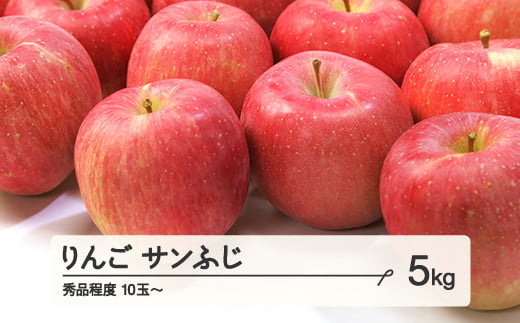 
            りんご サンふじ 秀品程度 約5kg(10~20個程度)  2025年産 山形県産 ※沖縄・離島への配送不可 tf-risfs5
          