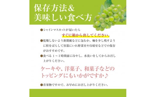 ハウス栽培で旬の味を一足早くお届け！【2025年７月下旬から発送】山梨県産シャインマスカット ２kg（２～４房程度）丹澤農園[5839-1180]